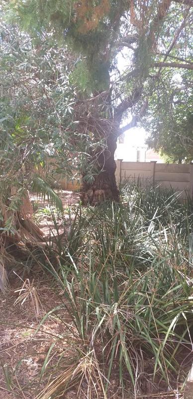 3 Bedroom Property for Sale in Pellissier Free State